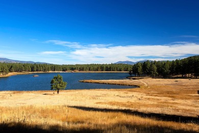 The Ranch at Angel Fire is a rare legacy opportunity to own the - photo 50