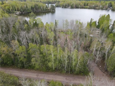 Lake Lot For Sale in North Star Twp, Minnesota