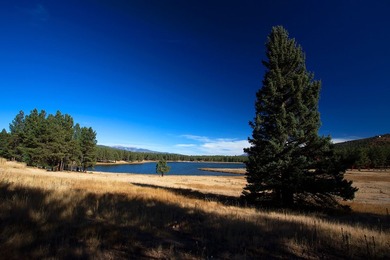 The Ranch at Angel Fire is a rare legacy opportunity to own the - photo 51