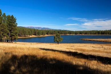 The Ranch at Angel Fire is a rare legacy opportunity to own the - photo 56