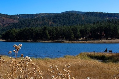 The Ranch at Angel Fire is a rare legacy opportunity to own the - photo 59