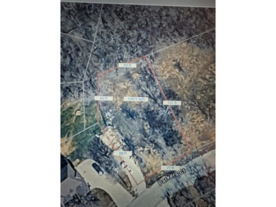 Lake Lot For Sale in Bridgeport, Texas