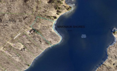 Lake Acreage For Sale in Walker, Minnesota