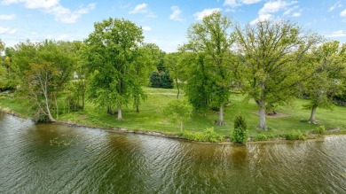 Lake Lot For Sale in Brooklyn, Michigan