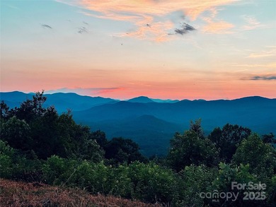 (private lake, pond, coastal) Acreage For Sale in Union Mills North Carolina