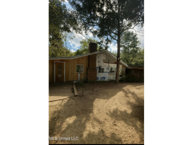 Lake Home For Sale in Lucedale, Mississippi