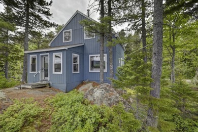Lake Home For Sale in The Forks Plt, Maine
