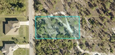 Lehigh Acres Area Lot For Sale in Lehigh Acres Florida