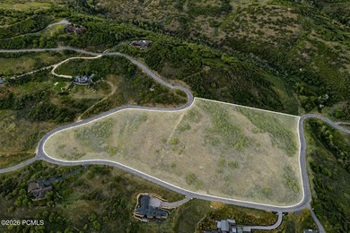 1374 W Red Fox Road offers a rare opportunity to build in The - photo 11