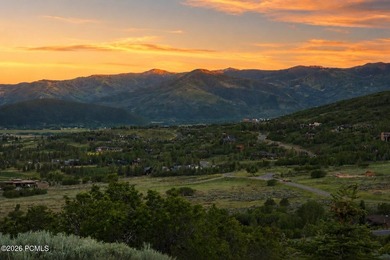 1374 W Red Fox Road offers a rare opportunity to build in The - photo 12