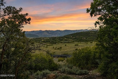 1374 W Red Fox Road offers a rare opportunity to build in The - photo 14