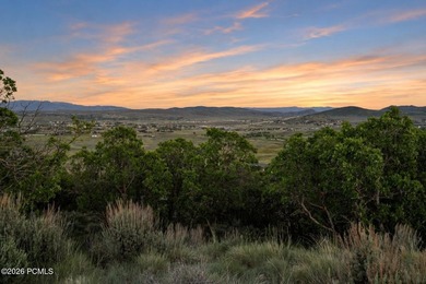 1374 W Red Fox Road offers a rare opportunity to build in The - photo 15