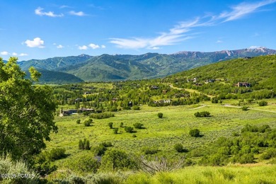 1374 W Red Fox Road offers a rare opportunity to build in The - photo 20