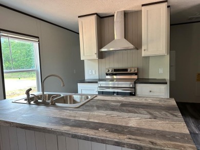 Lake Home For Sale in Abbeville, Alabama