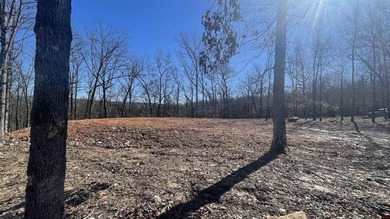 White River Acreage For Sale in Flippin Arkansas