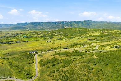 1374 W Red Fox Road offers a rare opportunity to build in The - photo 22