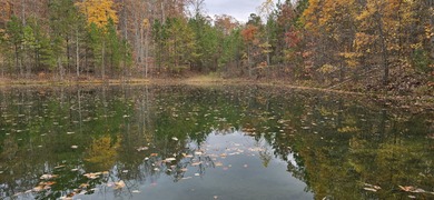 (private lake, pond, creek) Acreage For Sale in Dunlap Tennessee