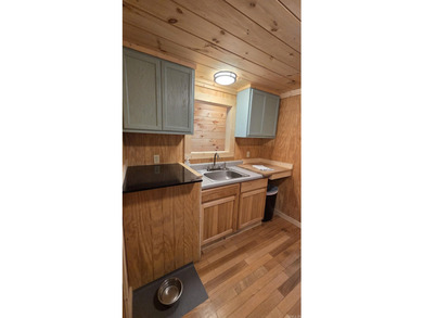 Your dream lakefront retreat on stunning Greers Ferry Lake is - photo 8