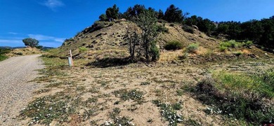 Animas River Lot For Sale in Durango Colorado