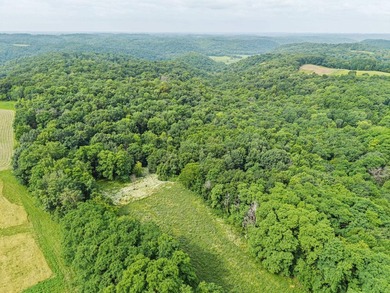 Additional listing photo 4