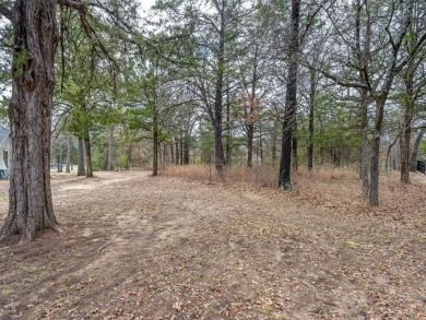 Lake Lot For Sale in Gainesville, Texas