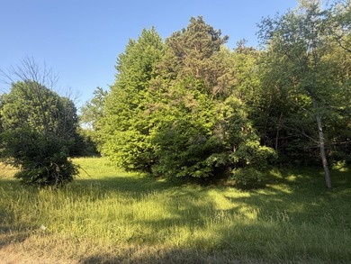Turn this beautiful lot off Pifer Rd into your own! This wooded - photo 2
