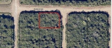 Beautiful Corner Lot in Palm Bay. Convenient to great schools - photo 1