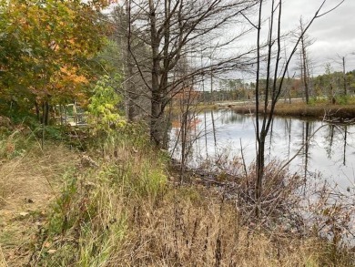 Lake Lot For Sale in Gaylord, Michigan