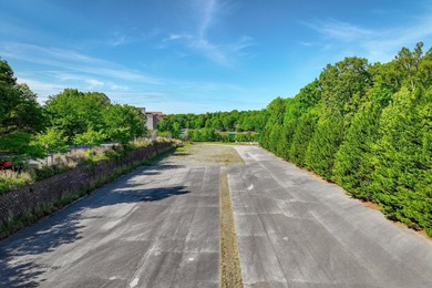 Two parcels for a total of 10+ acres with a combined shoreline - photo 7