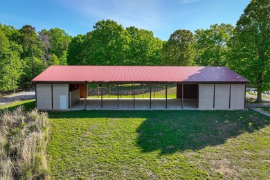 Two parcels for a total of 10+ acres with a combined shoreline - photo 8