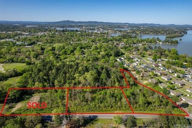Lake Hamilton Commercial For Sale in Hot Springs Arkansas