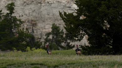 Niobrara River Ranch - A Rare Opportunity for Ranching & - photo 7