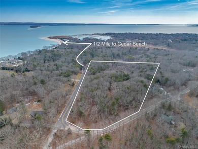 Extremely rare offering of 5.25 acres of undeveloped, wooded - photo 6
