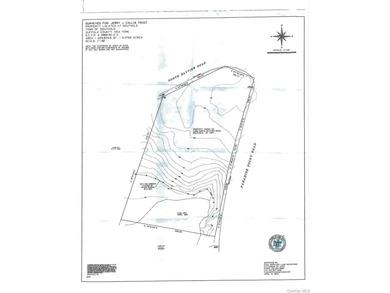 Extremely rare offering of 5.25 acres of undeveloped, wooded - photo 7