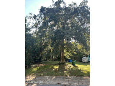 This lot located minutes from Gulfport, the Beach and Long Beach - photo 1