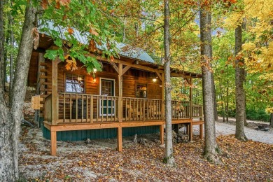 Lake Home For Sale in Allons, Tennessee