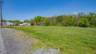 Susquehanna River - Clinton County Lot For Sale in Jersey Shore Pennsylvania