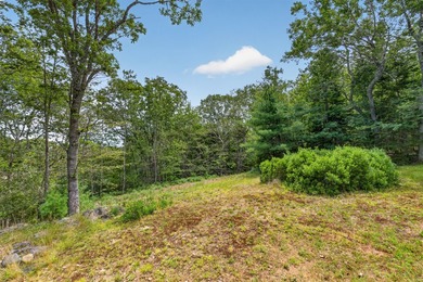 Perched at the top of the hill, this exceptional homesite offers - photo 22
