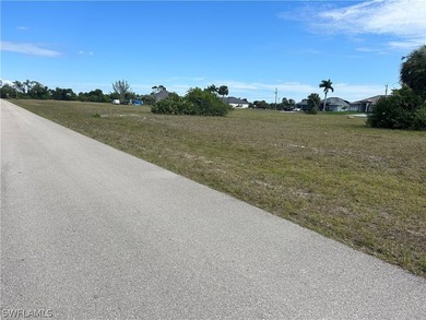 Nestled in the sought-after area of Northwest Cape Coral, this - photo 3
