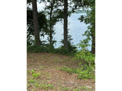 Lake Lot For Sale in Abbeville, Alabama