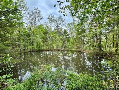 (private lake, pond, creek) Acreage For Sale in Dixon Missouri