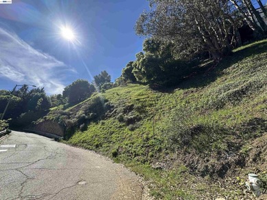 Exceptional opportunity to build your dream home in the highly - photo 3