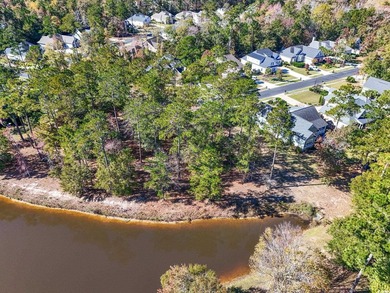 Buildable residential homesite in the gated, golf-cart-friendly - photo 9