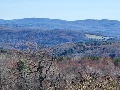 (private lake, pond, coastal) Acreage For Sale in Summit New York