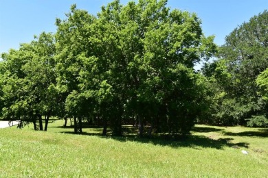 Lake Lot For Sale in Grand Prairie, Texas