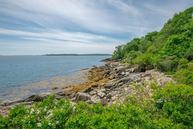 Exceptional opportunity to acquire two meticulously maintained - photo 45
