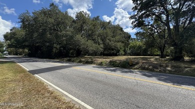 Welcome to your future dream home location! Discover the perfect - photo 1