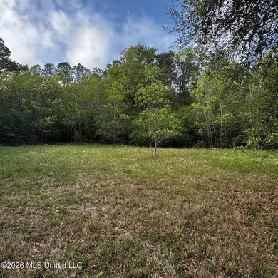 Welcome to your future dream home location! Discover the perfect - photo 7