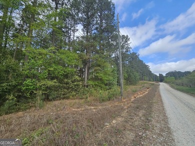 Ready to live the lake life? This .78 AC lot is situated on the - photo 3