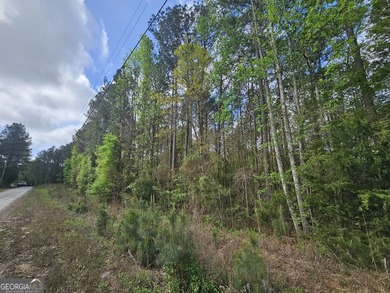 Ready to live the lake life? This .78 AC lot is situated on the - photo 4